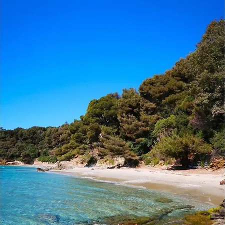 Appartamento à 350m De La Plage De Saint-clair